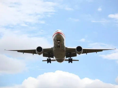 Un vautour heurte un avion en plein vol (Photo)
